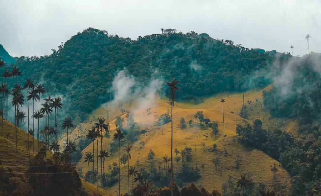 Insiders Guide: What to Do in Medellin, Colombia